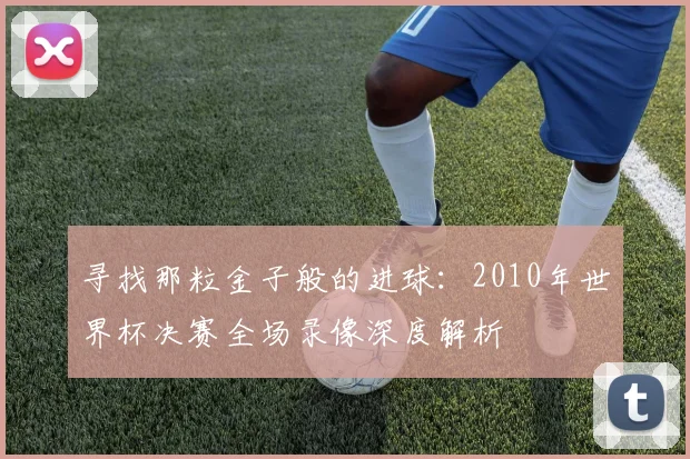 寻找那粒金子般的进球：2010年世界杯决赛全场录像深度解析