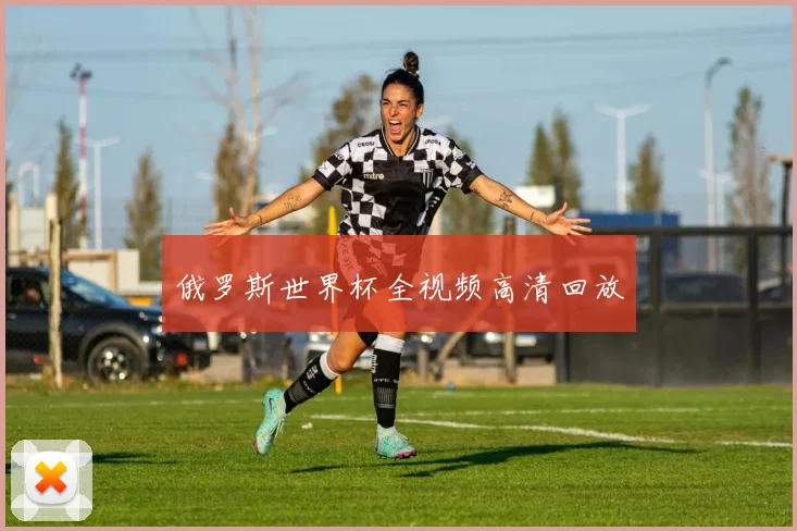 俄罗斯世界杯全视频高清回放