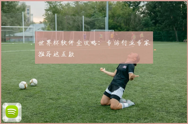 世界杯软件全攻略：专访行业专家推荐这五款