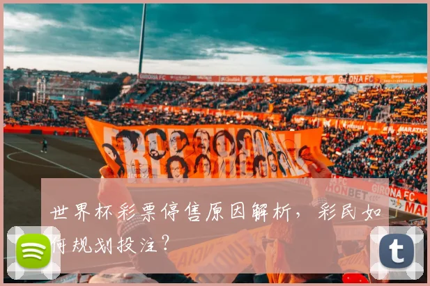世界杯彩票停售原因解析，彩民如何规划投注？